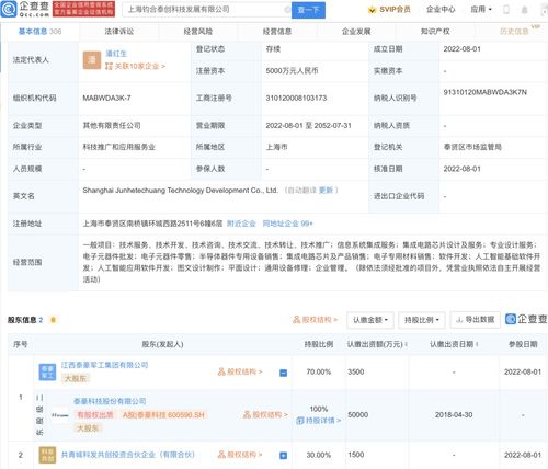 人工智能應用軟件開發 機遇、挑戰與實踐路徑